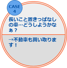 お任せケース4